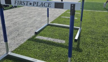 Upper Darby girls 4x4 wins Central, earns Philly Area spot