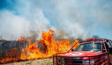 South Jersey wildfire fully contained, 160 acres burned