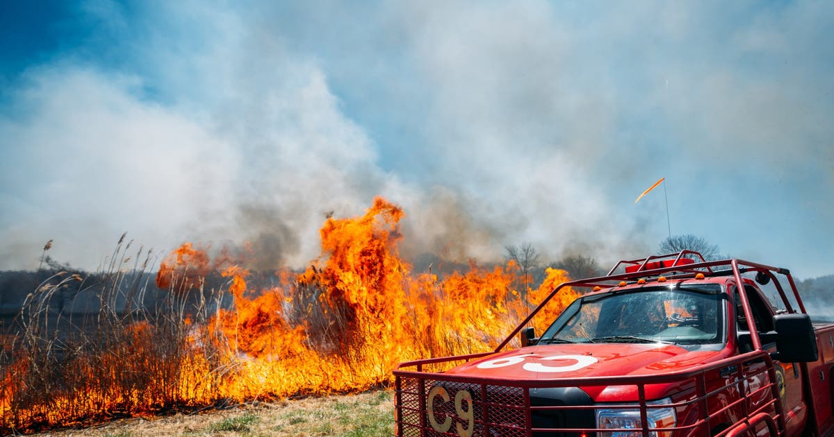 South Jersey wildfire fully contained, 160 acres burned