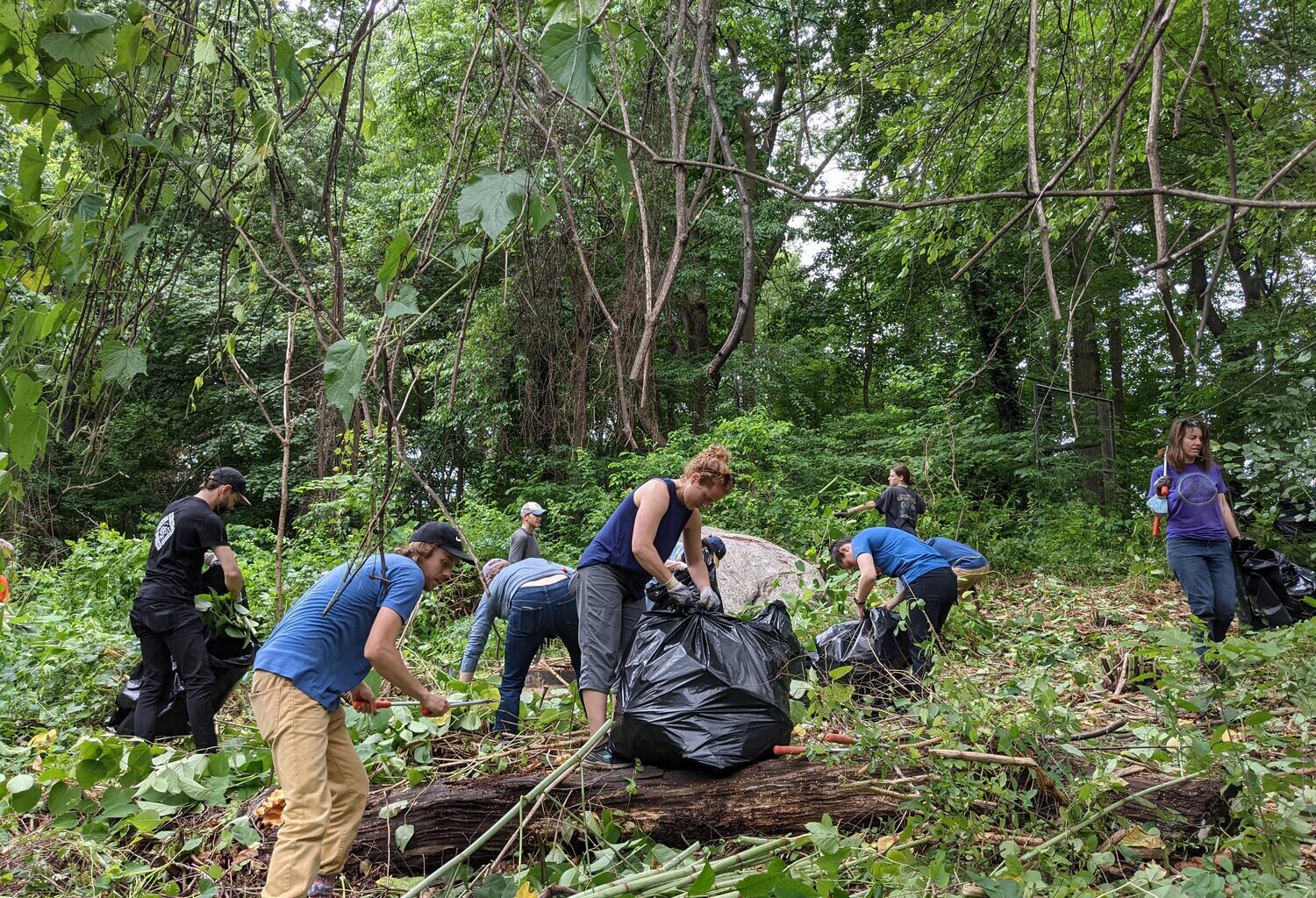 Locals can volunteer at Belmont Plateau this Earth Day.
