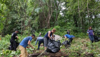 Locals can volunteer at Belmont Plateau this Earth Day.