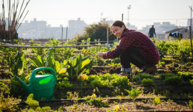 The city&rsquo;s new Agriculture Resource Center will provide residents with free access to tools and training for gardening.