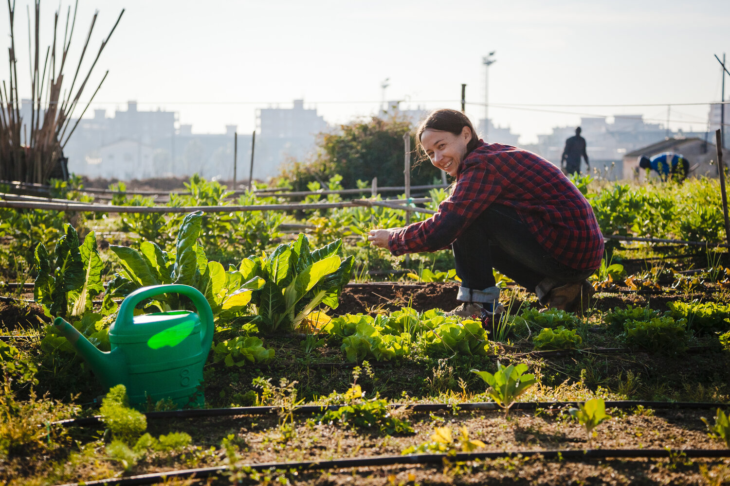 The city&rsquo;s new Agriculture Resource Center will provide residents with free access to tools and training for gardening.