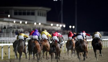 Future of Chelmsford City racecourse in the balance