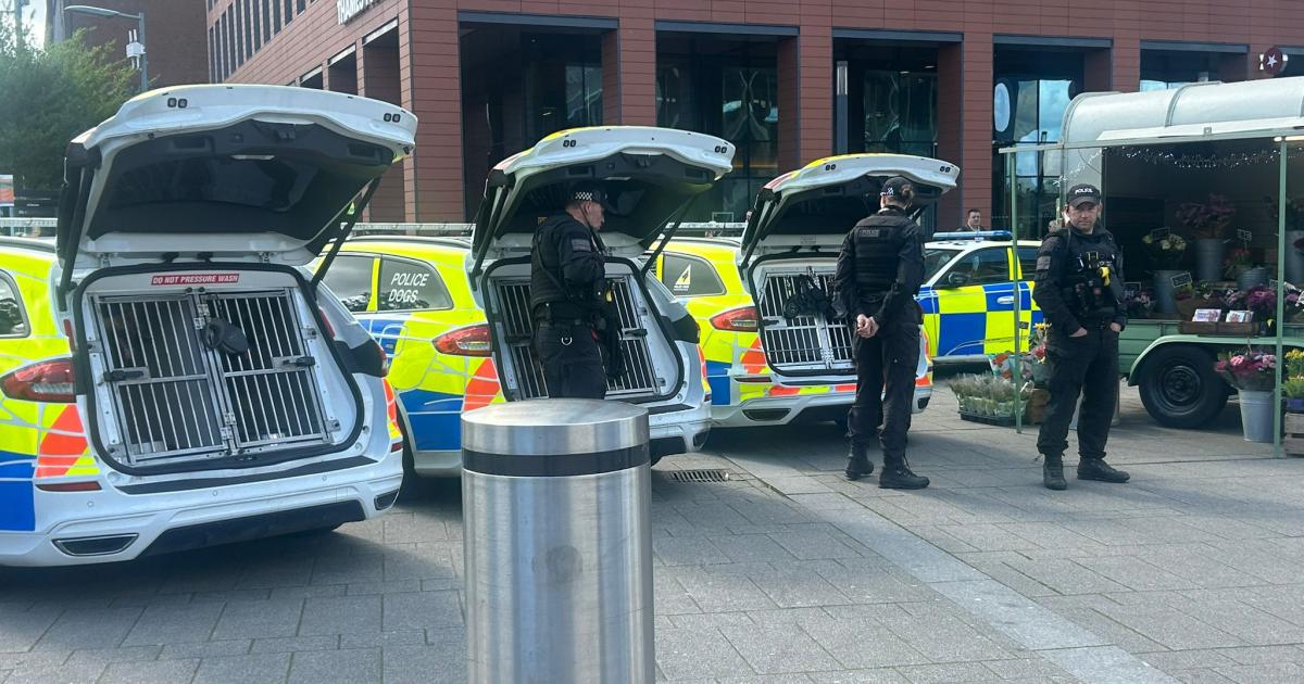 Reading v Cardiff: major police presence ahead of match