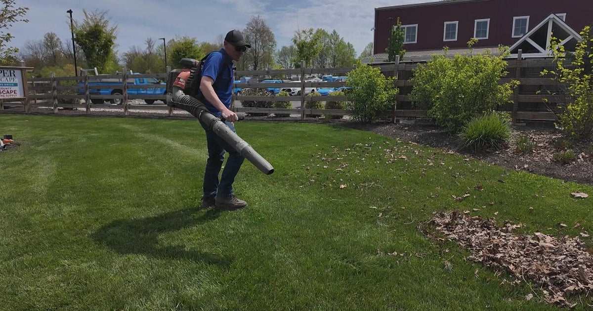 Delaware County residents push for ban on gas powered leaf blowers citing health concerns