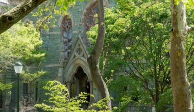 Vote yes on curriculum reform — on the merits