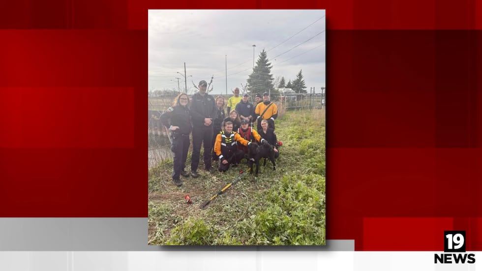 Dog rescued after swimming into drainage area off Lake Erie