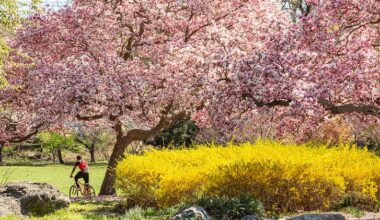 Thousands of volunteers will clean up Philly neighborhoods this morning