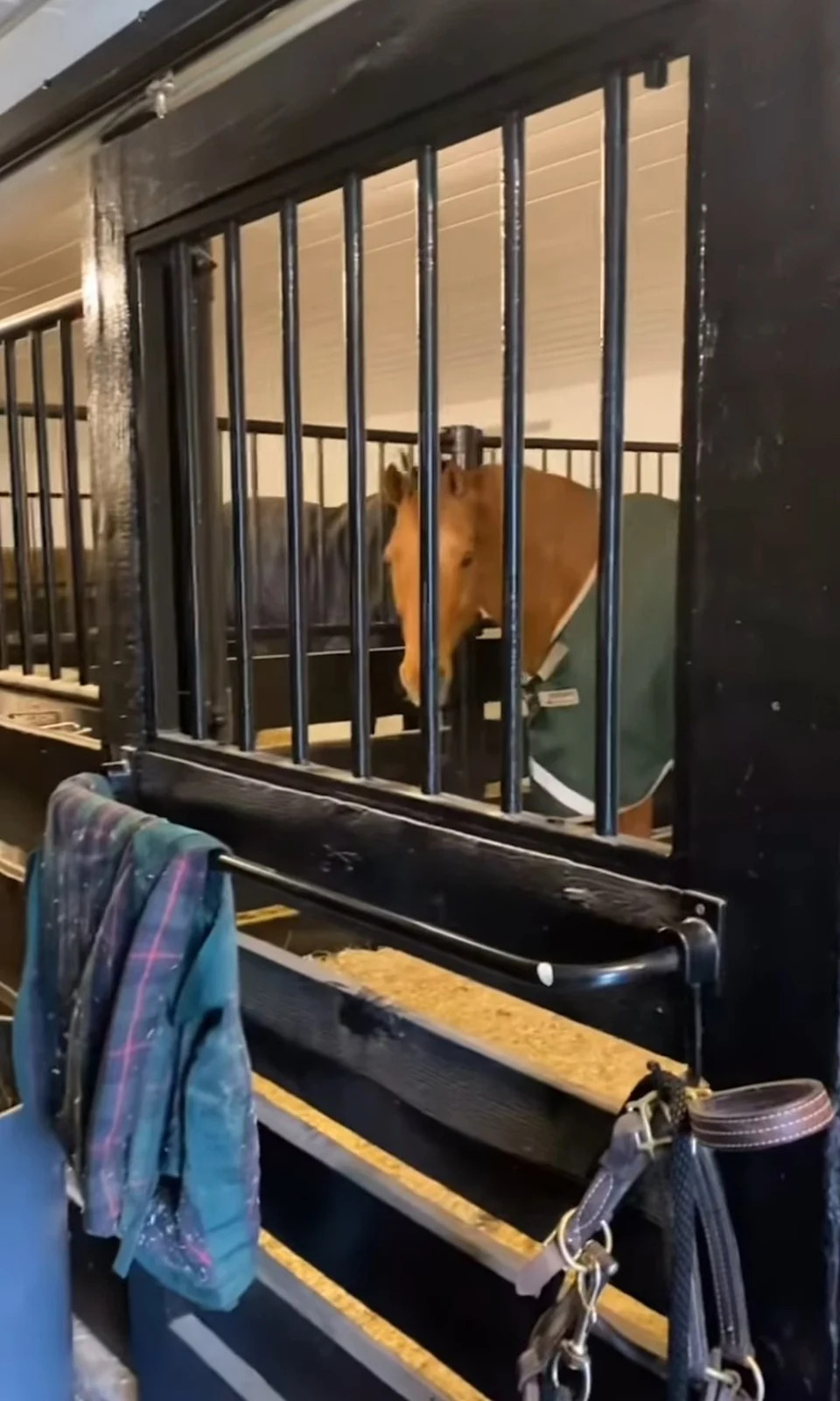 Horses in their stable at Yolanda Hadid's farm