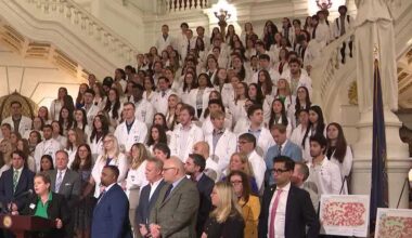 Pharmacists rally in Harrisburg to address "pharmacy deserts"