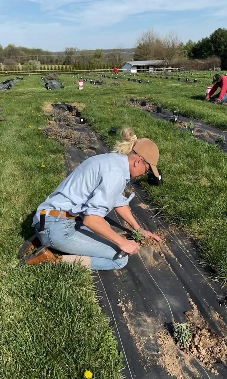 Yolanda Hadid planting at her farm