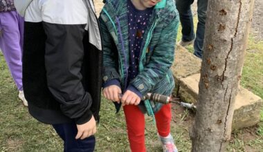 Pennsylvania's sweetest festival to be held in Meyersdale | Entertainment