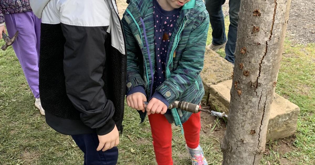 Pennsylvania's sweetest festival to be held in Meyersdale | Entertainment