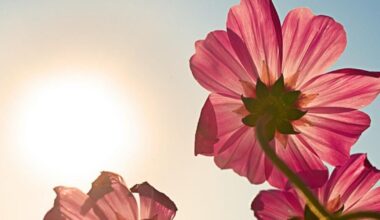 Hottest Aprils in Pennsylvania since 1895 | State