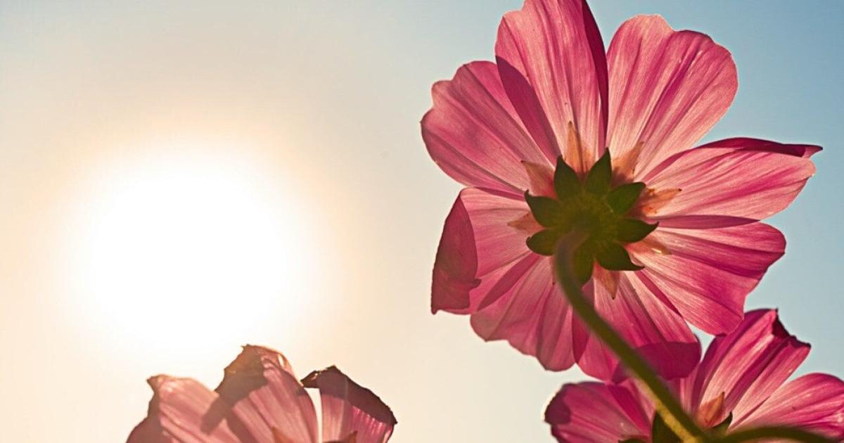 Hottest Aprils in Pennsylvania since 1895 | State