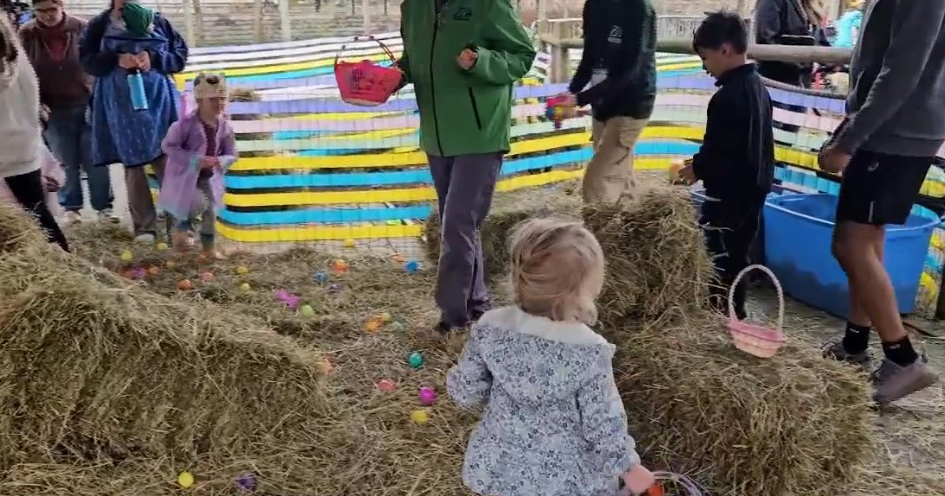 Easter Sunday zoo visit: A favorite Erie tradition | News