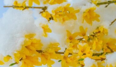 Coldest Aprils in Pennsylvania since 1895 | Pennsylvania