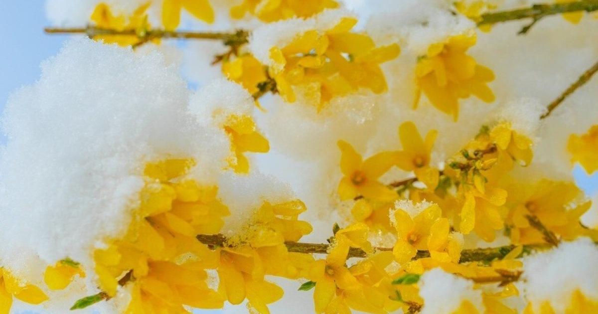 Coldest Aprils in Pennsylvania since 1895 | Pennsylvania