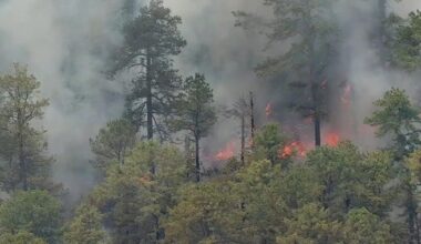 NJ DEP secures $90K in grants as 'active' wildfire season begins | Regional