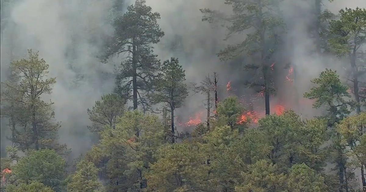 NJ DEP secures $90K in grants as 'active' wildfire season begins | Regional