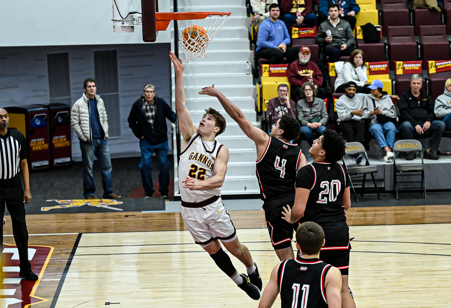Gannon Leading Scorer Pace Prosser Enters Transfer Portal | Sports