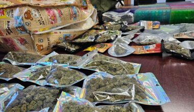 Police seize large quantity of drugs and distribution materials in Robeson Township | Homepage Top Stories