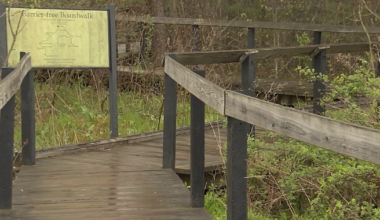 Asbury Woods to See Major Property Improvements this Spring | News
