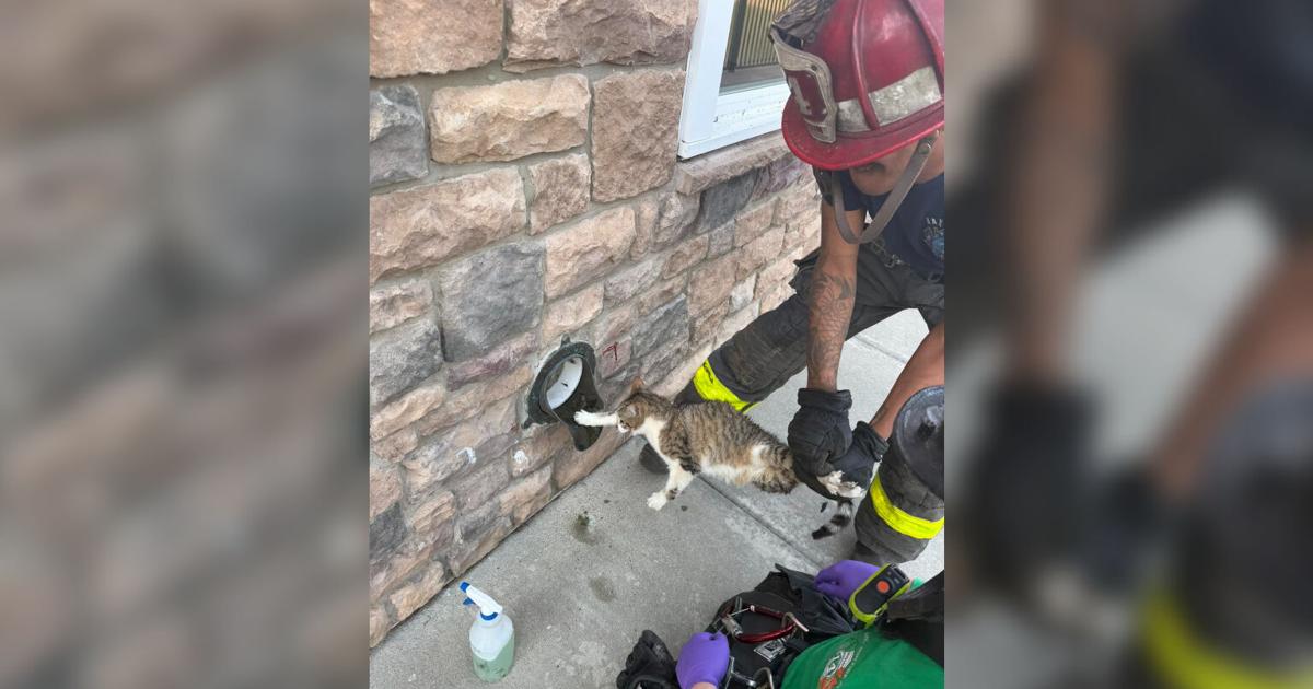 Local firefighters free feisty feline stuck in gutter drain | Northampton County