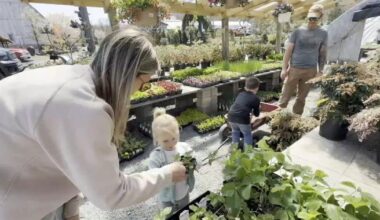 ‘People are jonesing for flowers’: Warm weather sparks gardening rush | Eastern Berks County