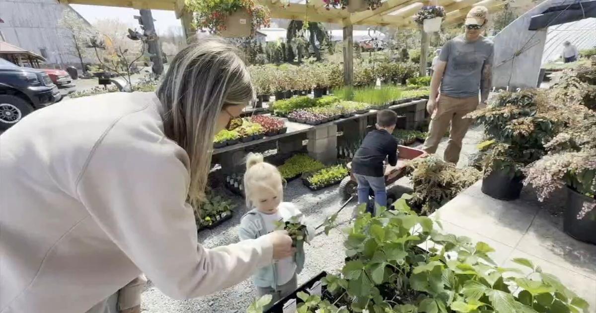 ‘People are jonesing for flowers’: Warm weather sparks gardening rush | Eastern Berks County
