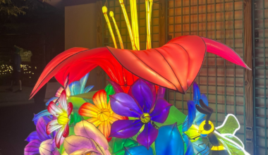 Glow Wild Returns with Bright Lights and Fun Times | News