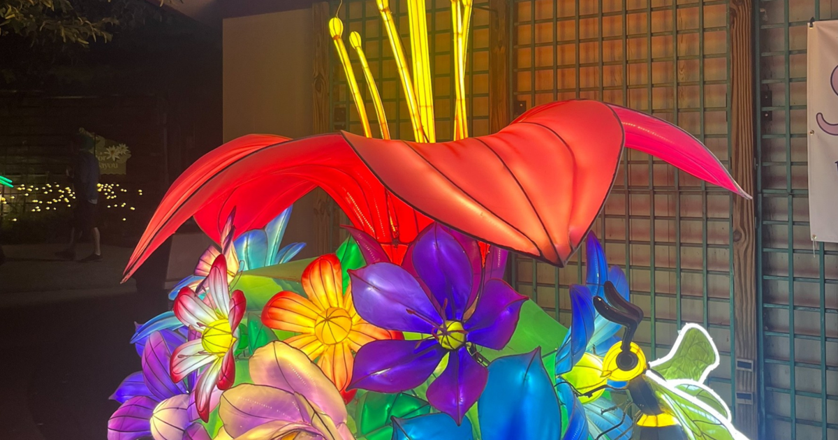 Glow Wild Returns with Bright Lights and Fun Times | News