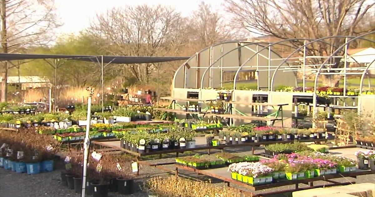 Coopersburg nursery gives tips on planting during roller coaster forecast | Southern Lehigh County