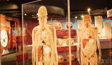 Discover Lehigh Valley: Enjoy interactive exhibits, learning experiences at Da Vinci Science Center | Feature-belt