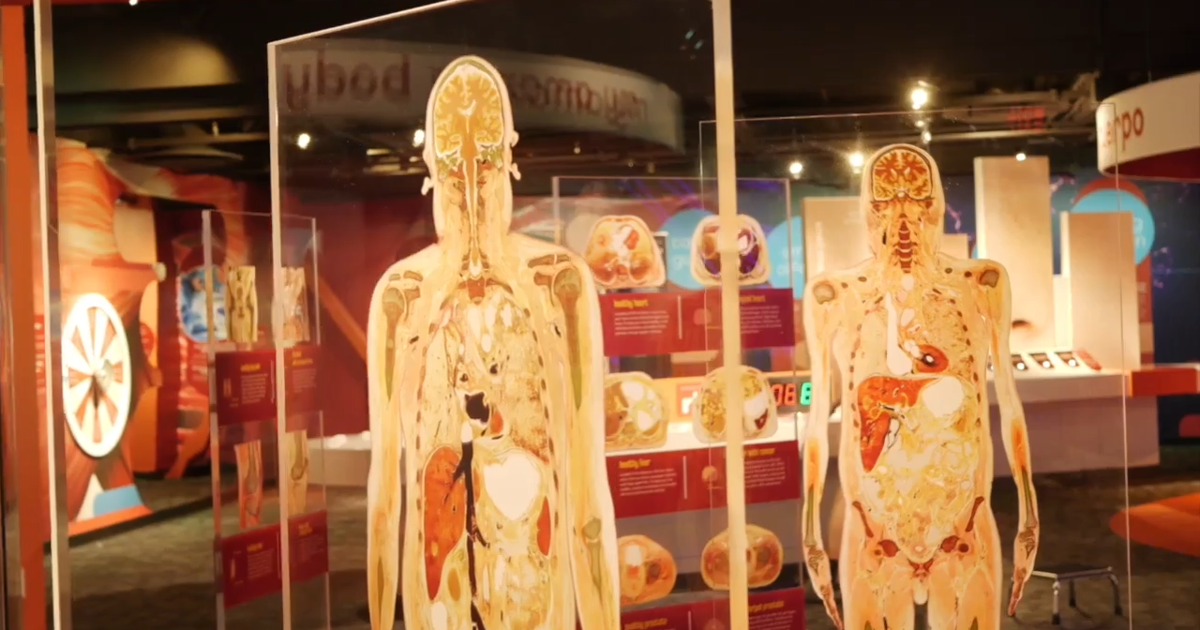 Discover Lehigh Valley: Enjoy interactive exhibits, learning experiences at Da Vinci Science Center | Feature-belt