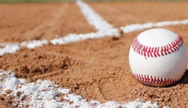 Roundup: Sharon baseball falls to Mercyhurst Prep in Erie | Sports