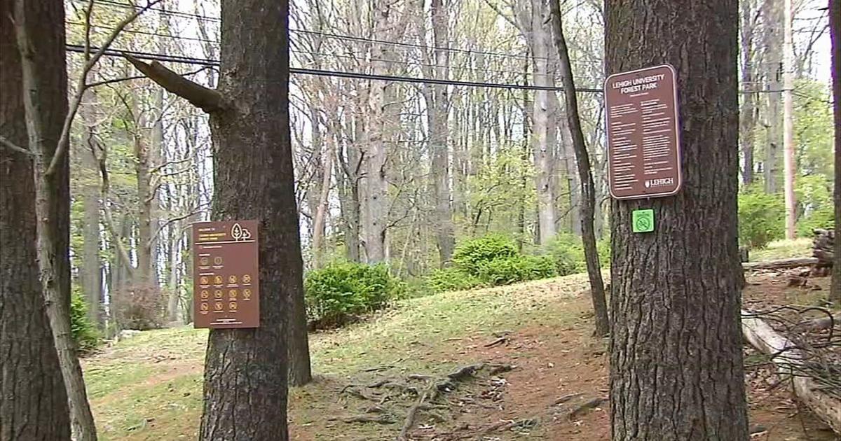 Lehigh University expands outdoor access with new Forest Park trail | Bethelehm Area
