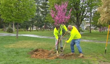 Bethlehem nursing home hosts tree planting event to celebrate Earth Day | Bethelehm Area