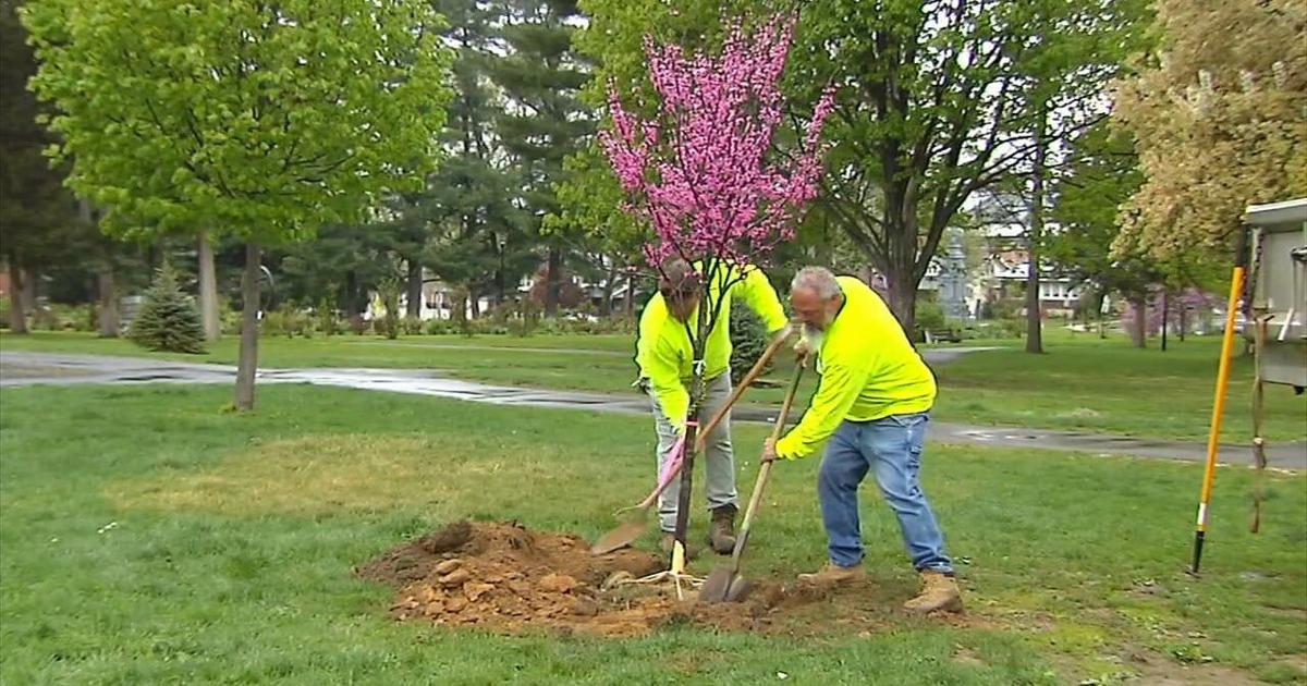 Bethlehem nursing home hosts tree planting event to celebrate Earth Day | Bethelehm Area