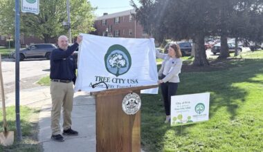 Erie Designated as Tree City USA for 20th Consecutive Year | News