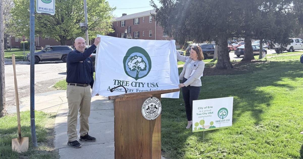 Erie Designated as Tree City USA for 20th Consecutive Year | News