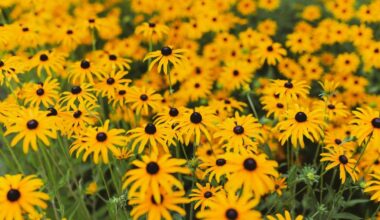 Unique Gardens to Honor Longtime Jefferson Society Supporter | News