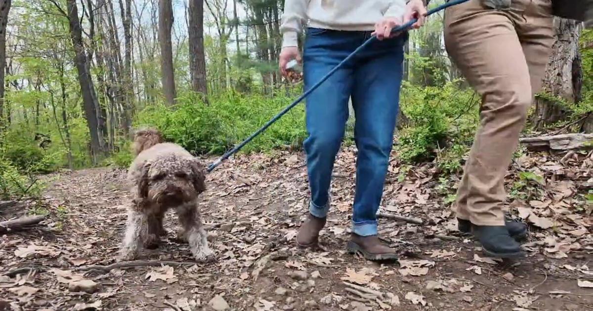 New public hiking trail opens in Forest Park at Lehigh University in Bethlehem | Bethelehm Area