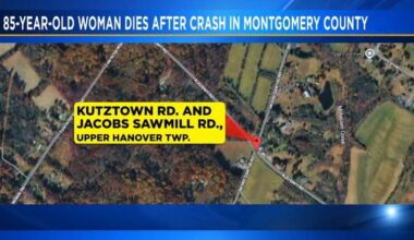 85-year-old woman dies after car hits tree in Montgomery County | Upper Montgomery County