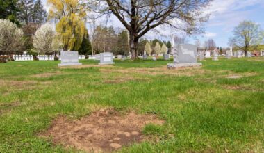 Inside Elmwood Cemetery's mysterious unregistered burial | Spotlightnews