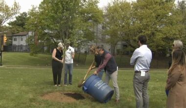 Allentown celebrates Arbor Day with community tree plantings and festivities | Allentown Area