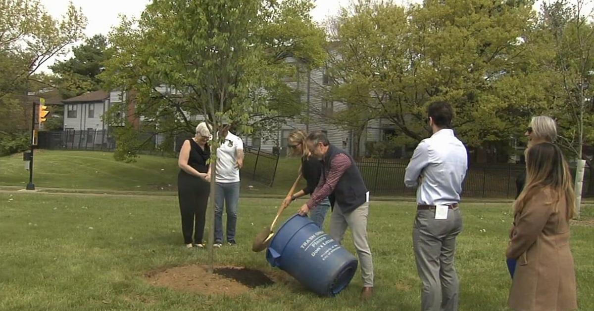 Allentown celebrates Arbor Day with community tree plantings and festivities | Allentown Area