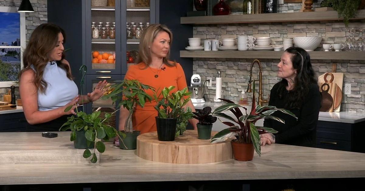 The Wicked Botanist previews Plant Fest | 69News at Sunrise