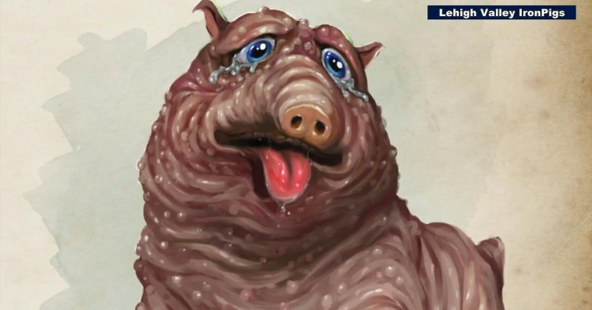 What in the world is a Squonk? IronPigs embrace Pa.’s saddest mythical creature | Allentown Area